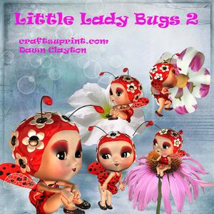 Little Lady Bugs 2