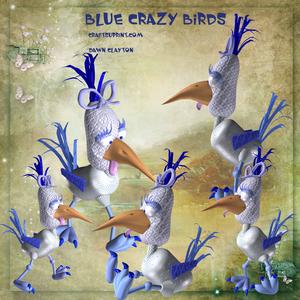 Blue Crazy Birds