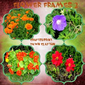 Flower Frames 2
