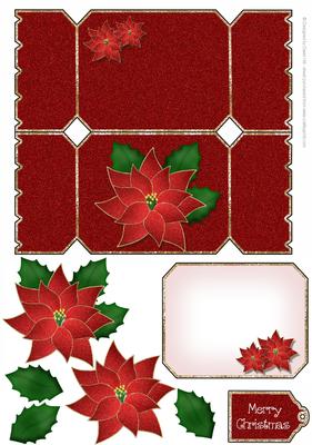 Christmas Cracker - Poinsettea