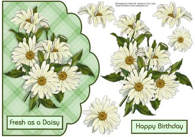 Fresh as a Daisy