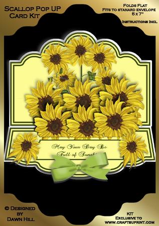 Scallop Pop Up Kit - Bring Me Sunshine