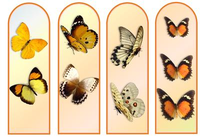 Butterfly Chase - Bookmarks - Gold N Browns