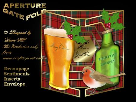 Aperture Hex Gatefold - Get Into the Christmas Spirit