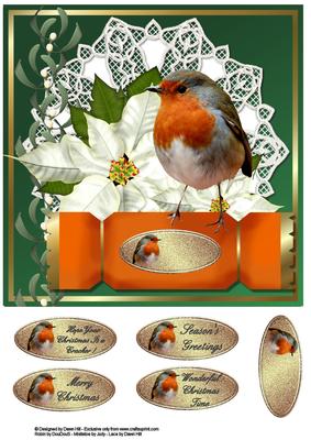 Hope Your Christmas is a Cracker - Robin