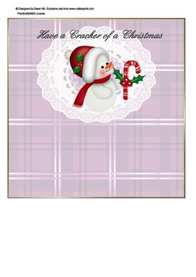 Christmas Cracker - Baby Snowgirl Insert