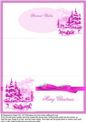 3 in 1 - Pink Sleigh Ride