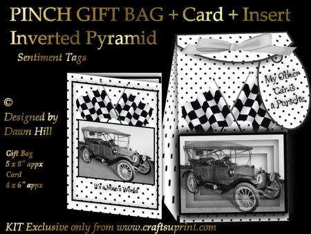 Pinch Bag + Card - One Careful Owner