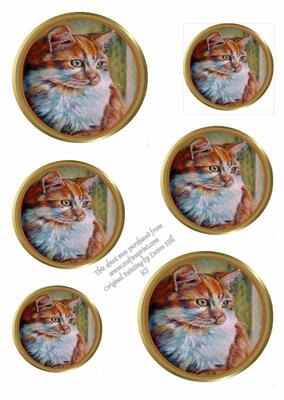 Beautiful Tabby Cat Circle Topper Sheet
