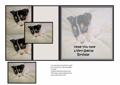 Jack Russell Puppy - Sweetheart