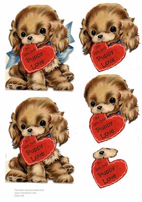 Puppy Love - Not Just