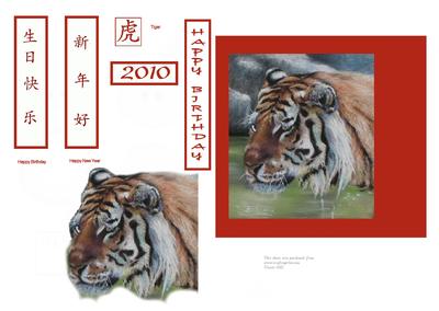 Birthday Tiger or Chinese New Year