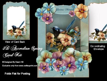 3D Accordian Spring - a Glorious Morning