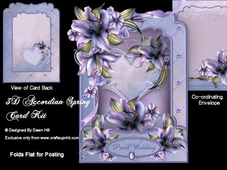 3D Accordian Spring - Lily My Love