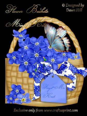 Flower Basket Mini Kit - Forget-me-knots