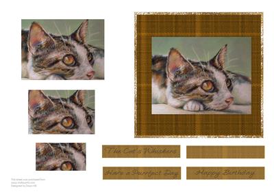 The Cats Whiskers