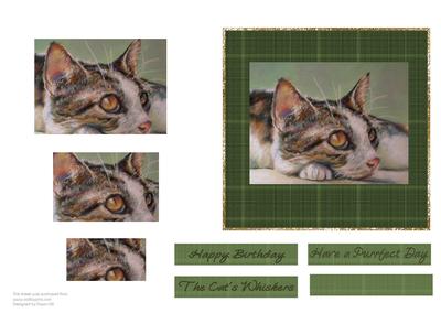 The Cats Whiskers 2