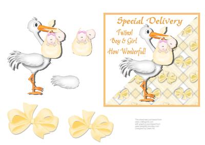 Special Delivery - Twins Boy and Girl