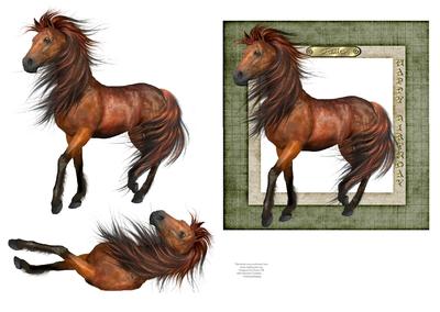 The Stallion - Male Birthday