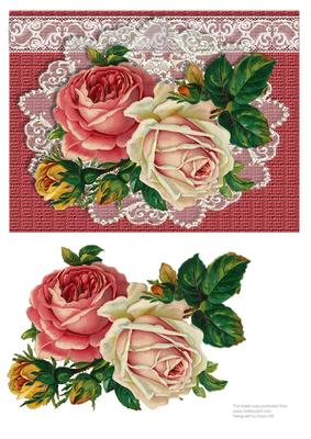 Classic Roses and Lace