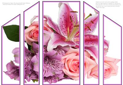 A Play on Pinks