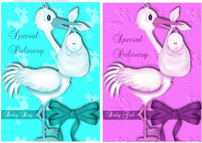 Special Deliveries Boy / Girl