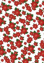 Christmas Poinsettias - White