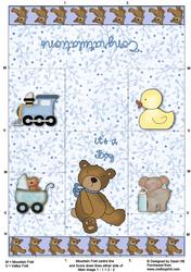 Its a Boy - Nursery - Stair Stepper