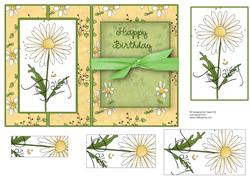 Daisy Card + Pyramids