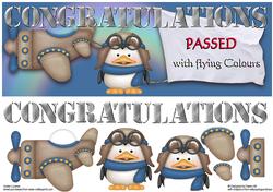 Passed with Flying Colours