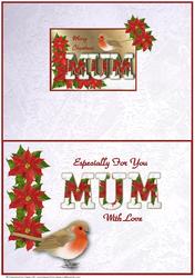 Merry Christmas Mum - Insert