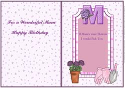 Mum - Picked Especially for You - Birthday Insert