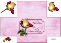 Mother's Day Treat - Money/gift Wallet
