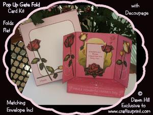 Pop Up Gate Fold Kit - I Picked a Winner