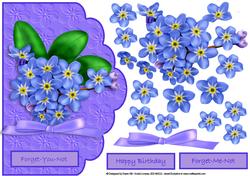Forget-you-not Forget-me-nots