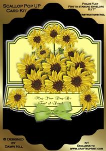 Scallop Pop Up Kit - Bring Me Sunshine