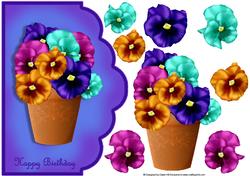 Potted Pansies