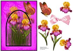 Stained Glass Window - Iris