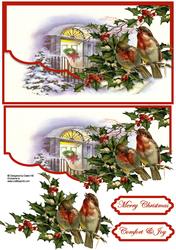 Robins Song - Envelope Card