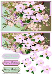 Apple Blossom - Envelope Card