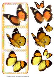 Tri-lace Panel - Butterflies