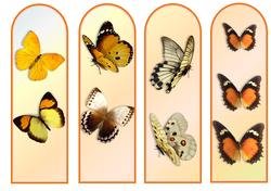 Butterfly Chase - Bookmarks - Gold N Browns