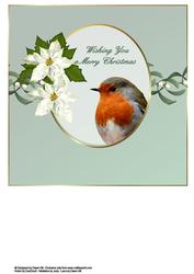 Christmas Cracker Robin - Insert 8 x 8