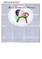Christmas Cracker - Baby Snowman Insert