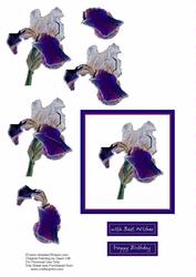 Beautiful Bearded Iris Decoupage Topper