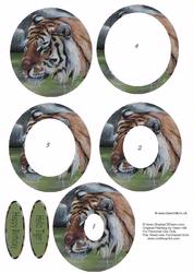 Hello Tiger Inverted Oval Pyramid Topper