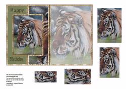 Hello Tiger - Foldback Card + Pyramid Topper