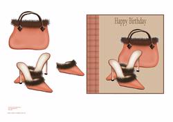 Peaches & Cream Hand Bag and Shoes