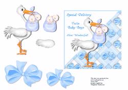 Special Delivery - Twin Baby Boys