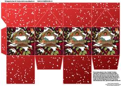 Milk Carton Gift Boxes - Christmas Robins